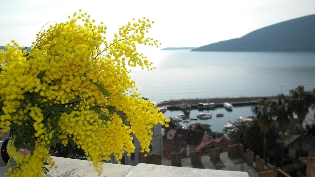 Apatments Stanojlovic Djenovic Apartment Herceg Novi Bagian luar foto