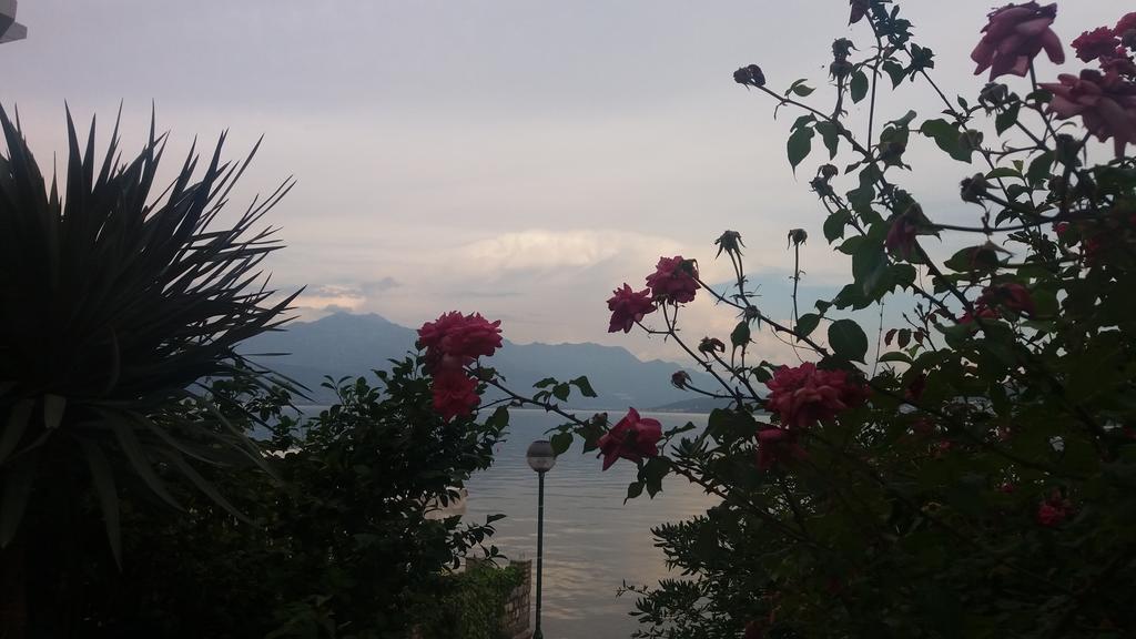 Apatments Stanojlovic Djenovic Apartment Herceg Novi Bagian luar foto